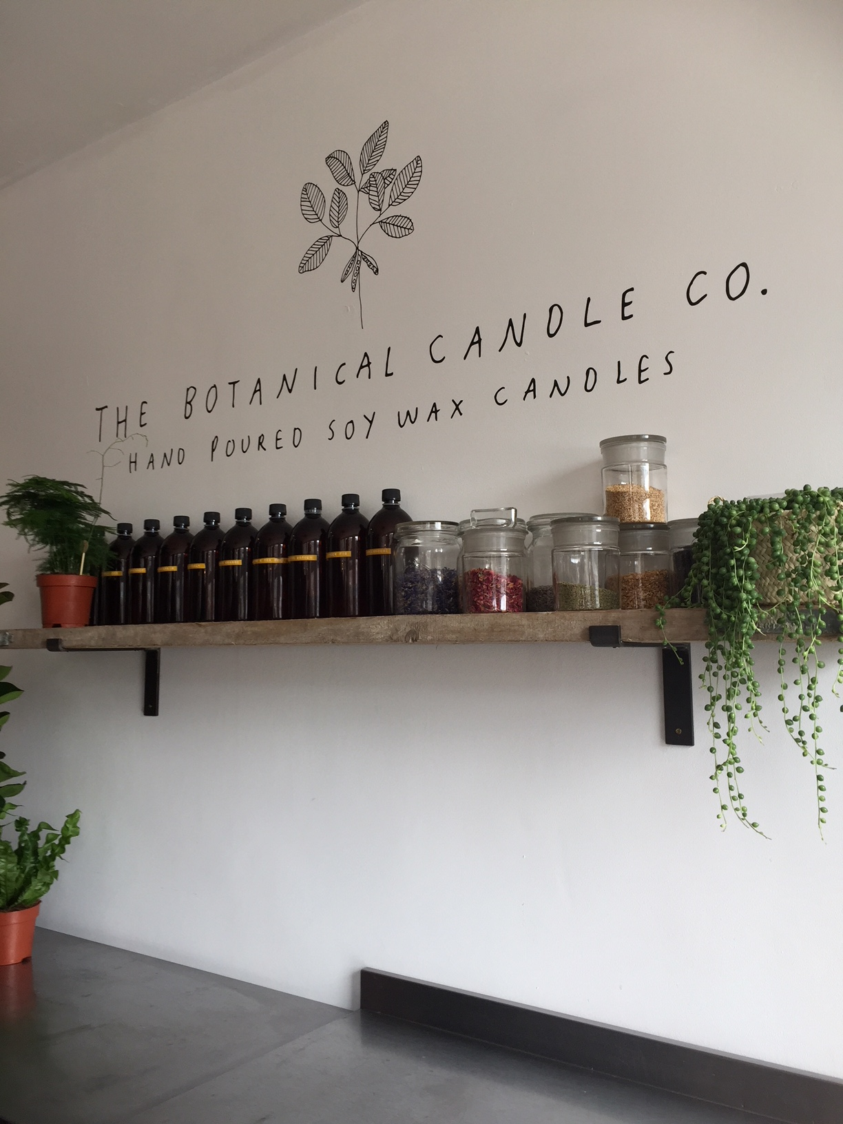 IzzyBee meets.... The Botanical Candle Co