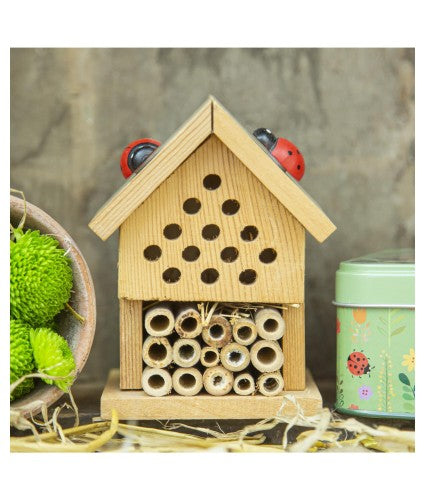 Build an Insect House Kit (6+)