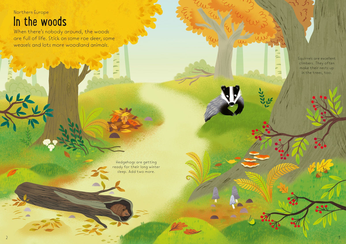 Book -Little Nature Stickers