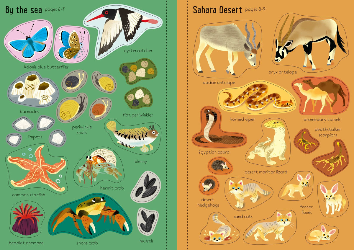 Book -Little Nature Stickers