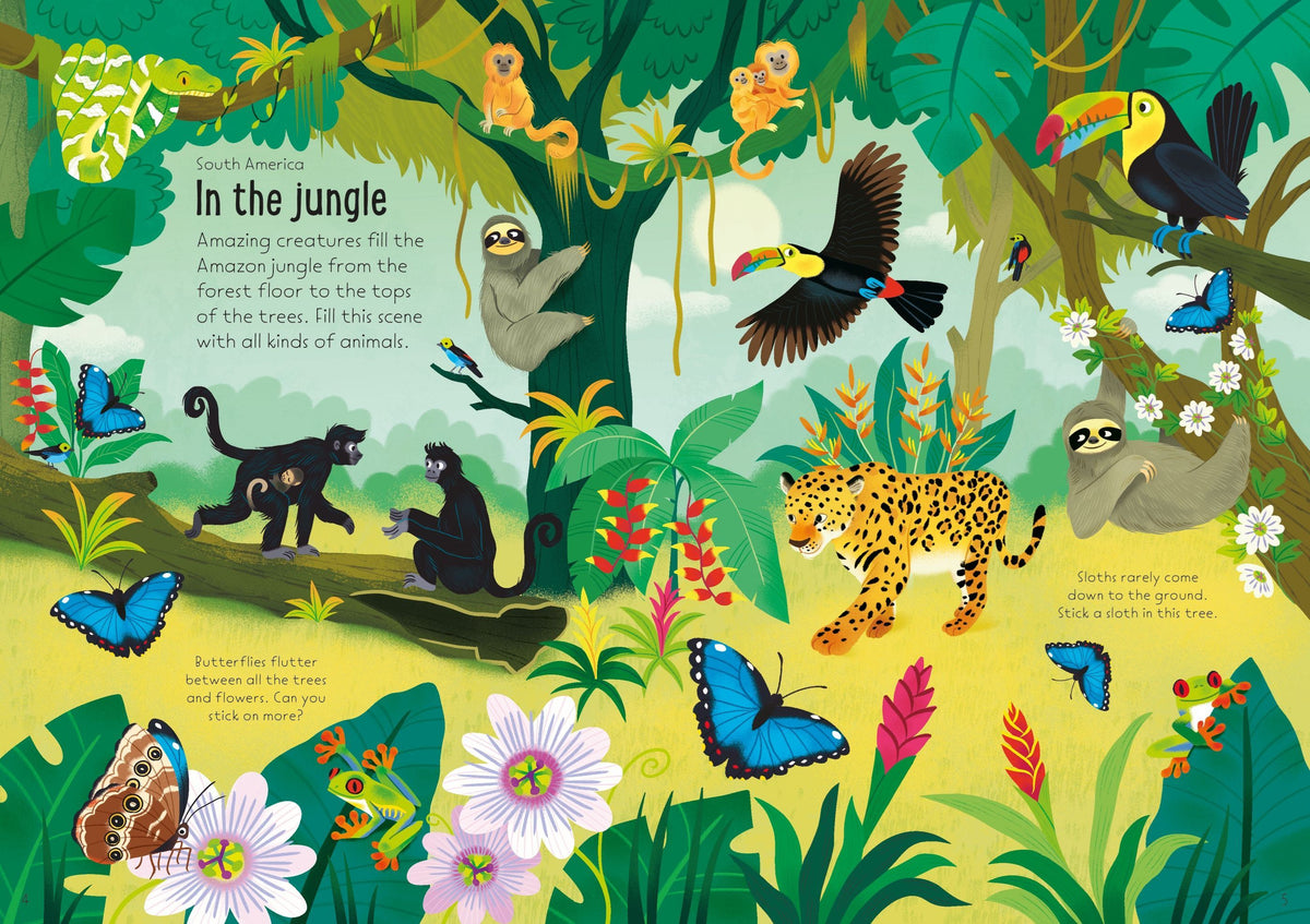 Book -Little Nature Stickers