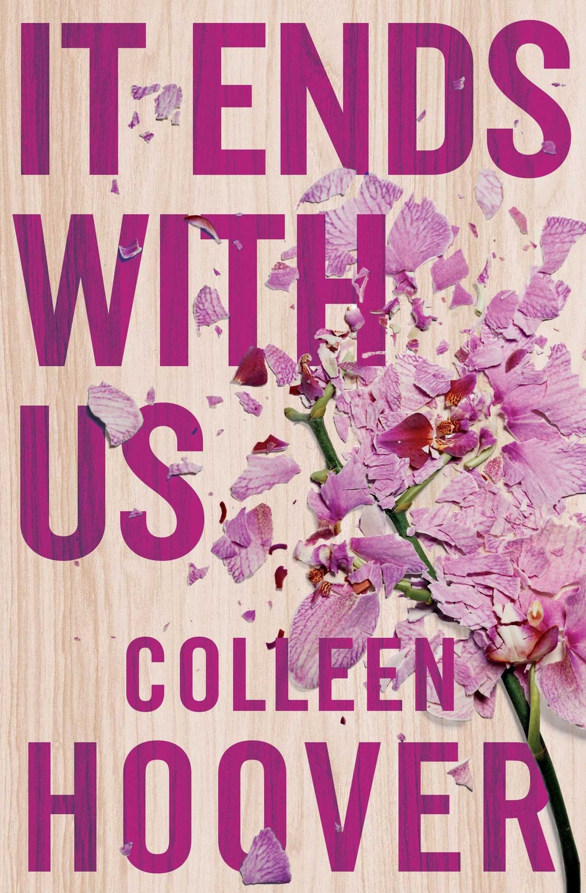 Book -Fiction: It Ends With Us