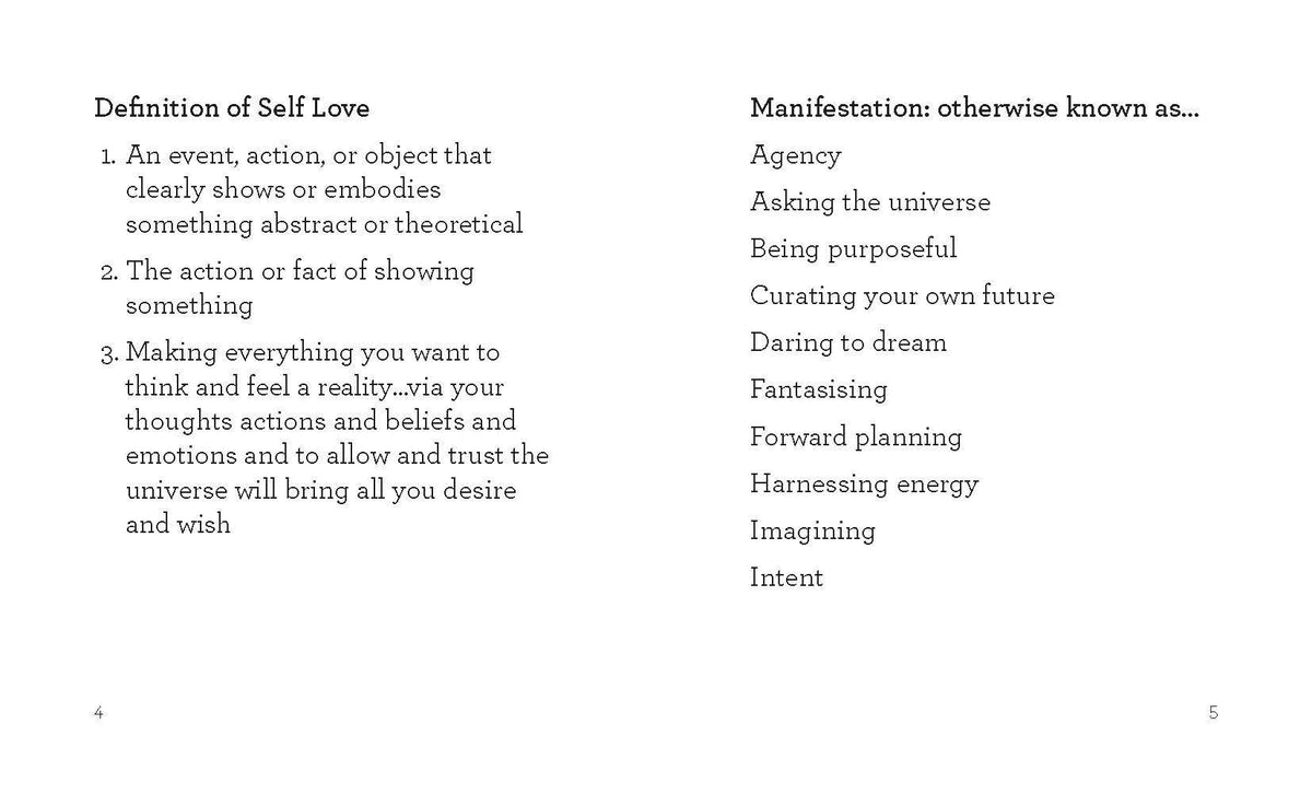 Book -Little Book of Manifesting