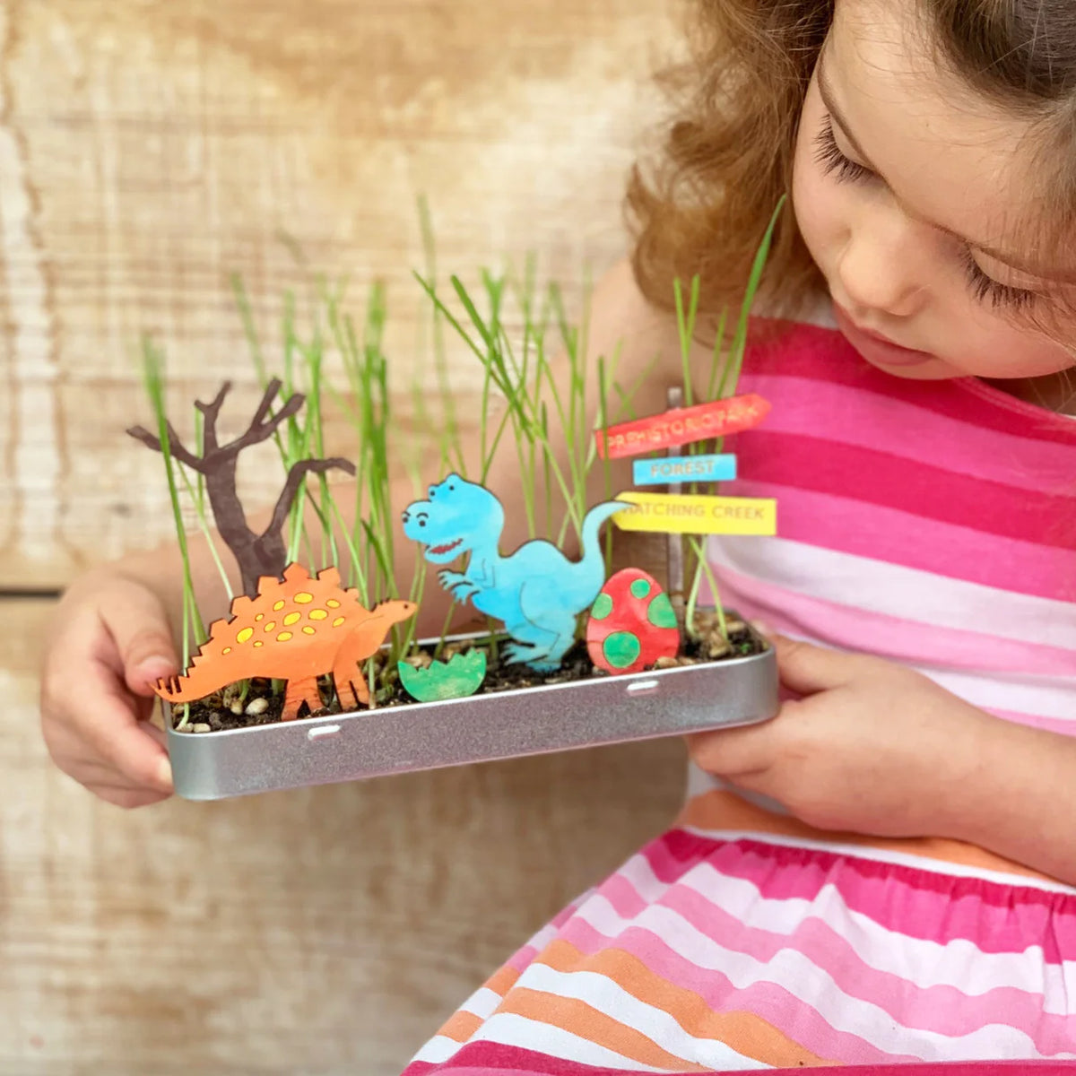 Make A Dinosaur Garden