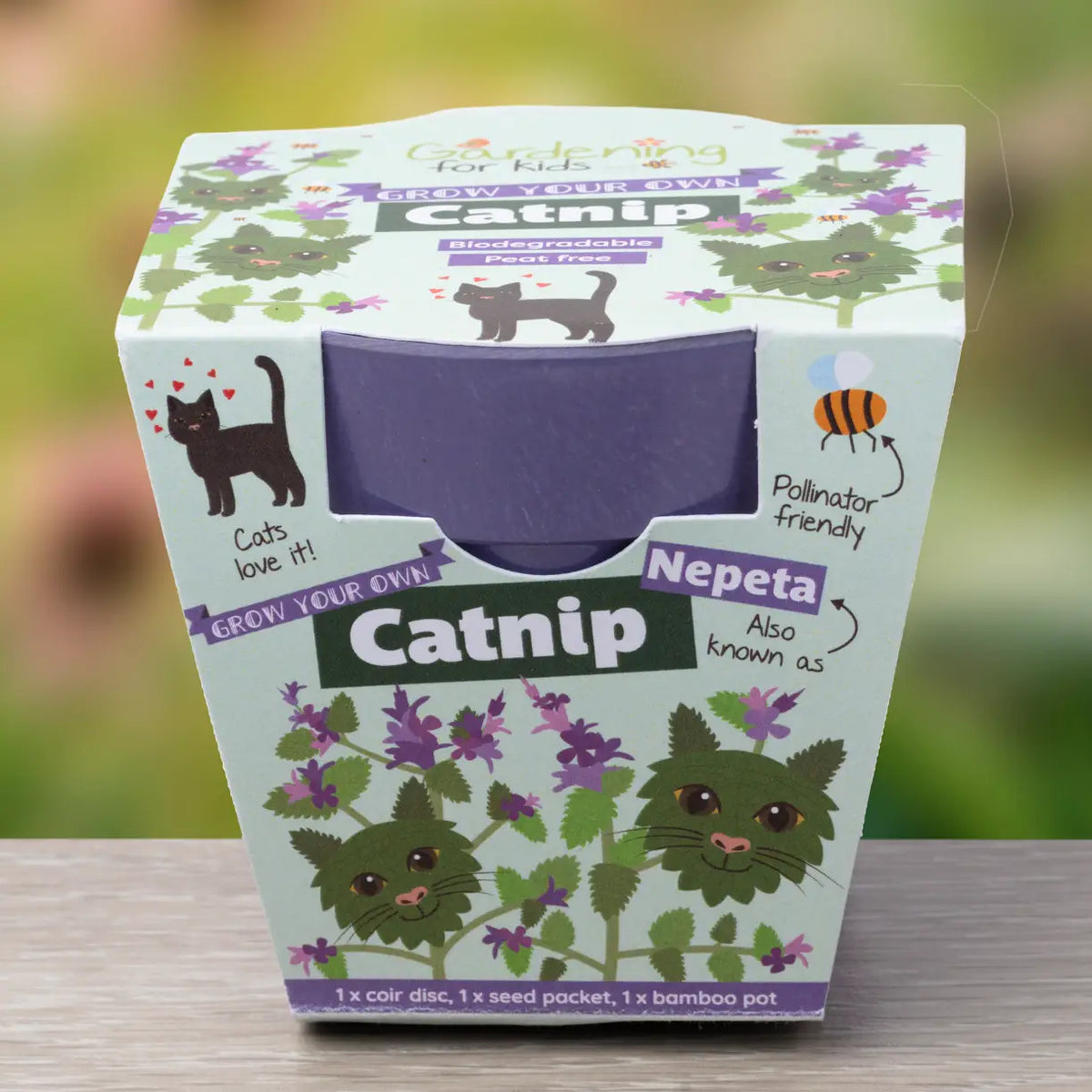 Grow Your Own Catnip