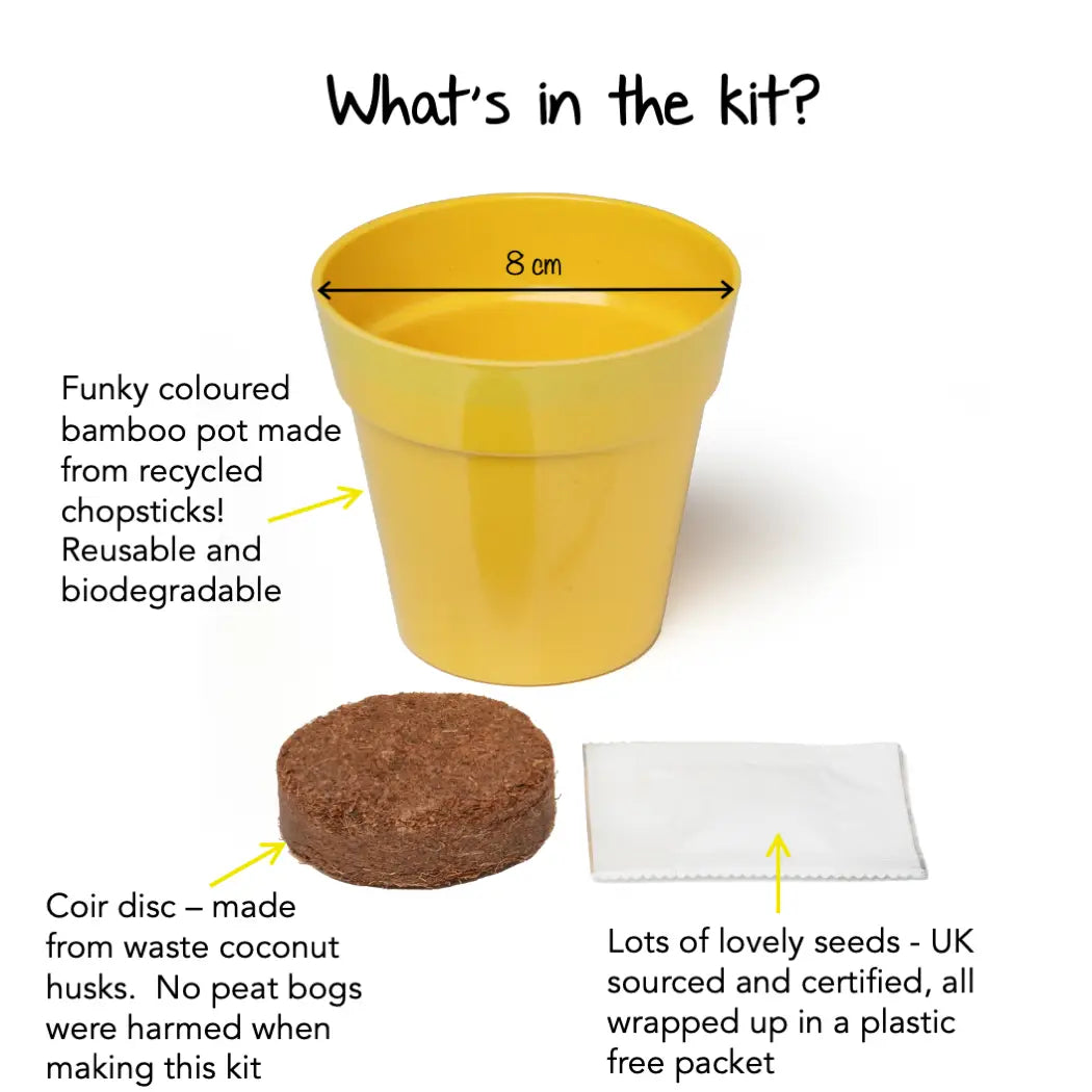 Sunflowers Grow Kit