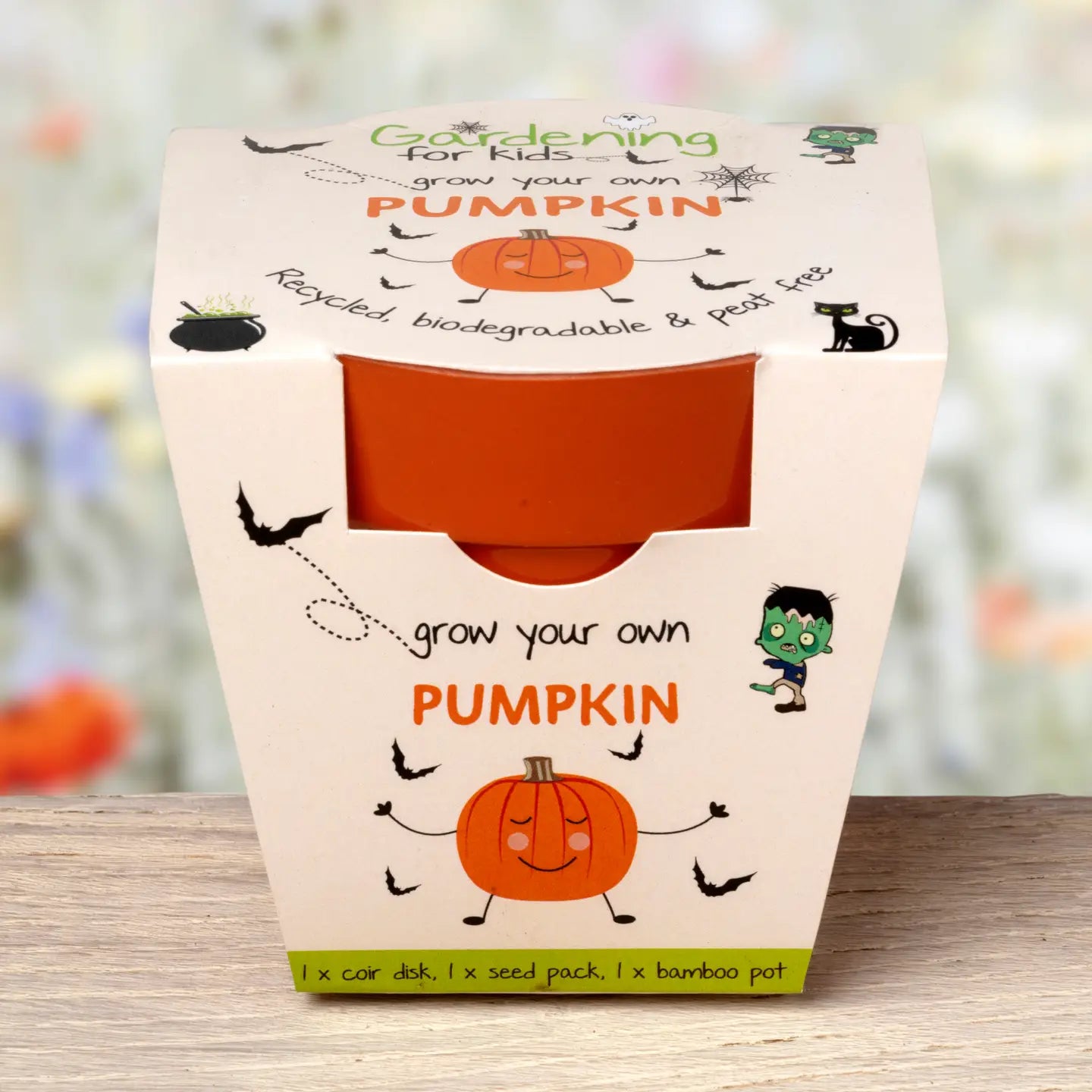 Pumpkin growing kit