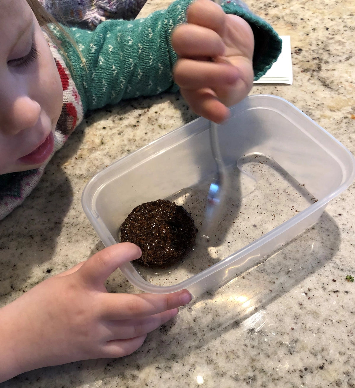 Grow Your Own Pumpkin