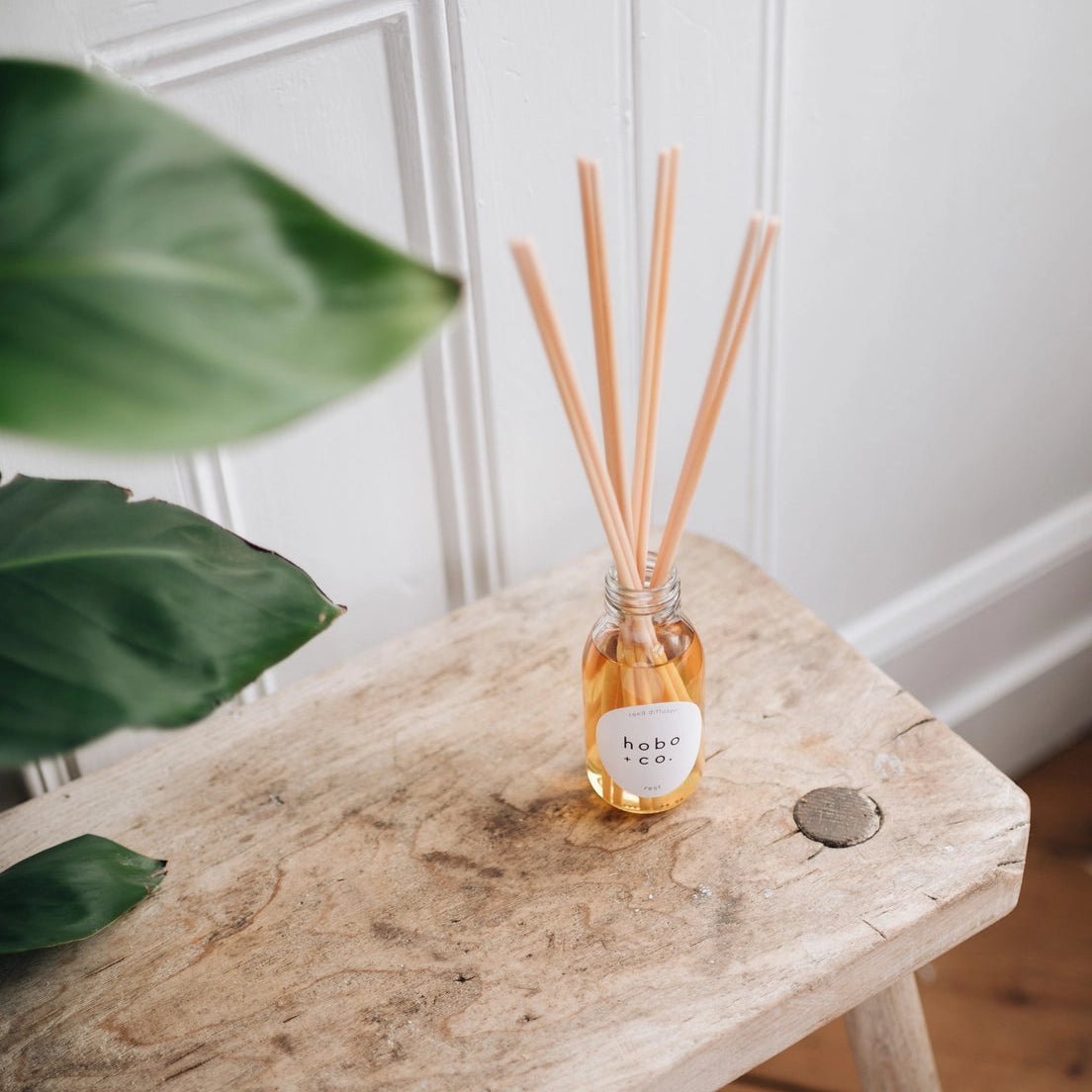 Hobo + Co diffuser bottle with wooden sticks and packaging on a white background