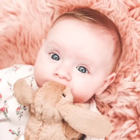 Bunny Comforter Toy