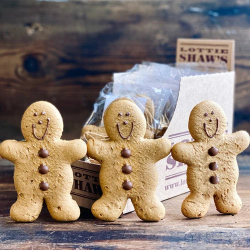 Vegan Gingerbread Man