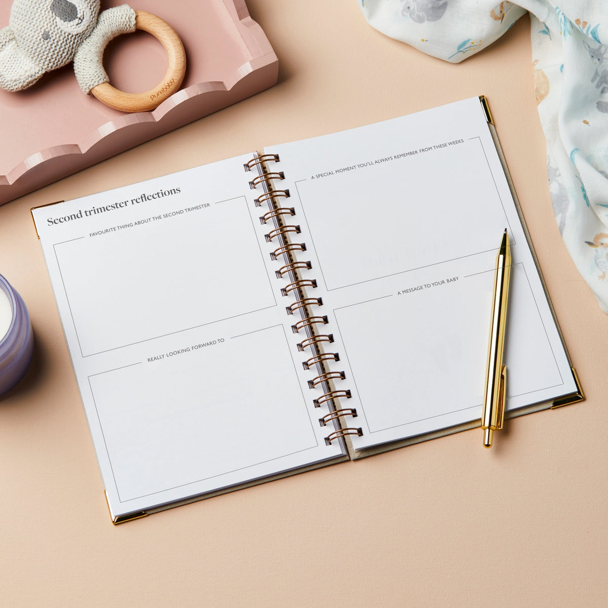 Pregnancy Journal - Tales of the Bump