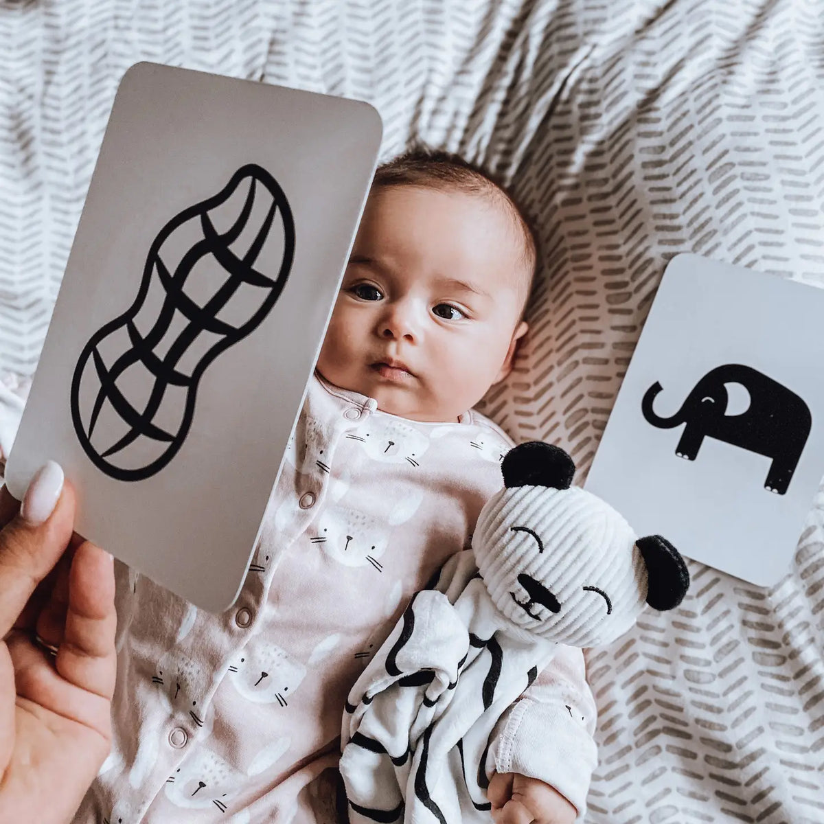 Newborn Sensory Flash Cards