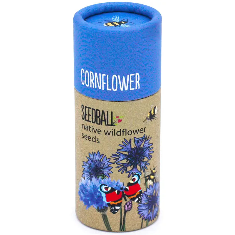 Wildflower Seedball tube - Cornflower