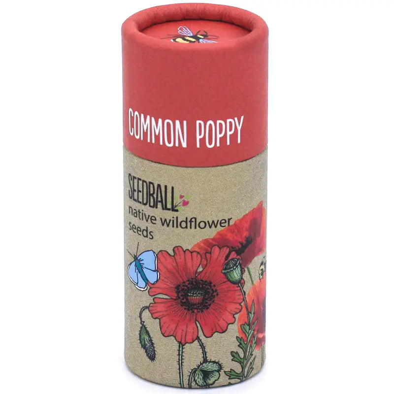 Wildflower Seedball tube - Forget-me-not