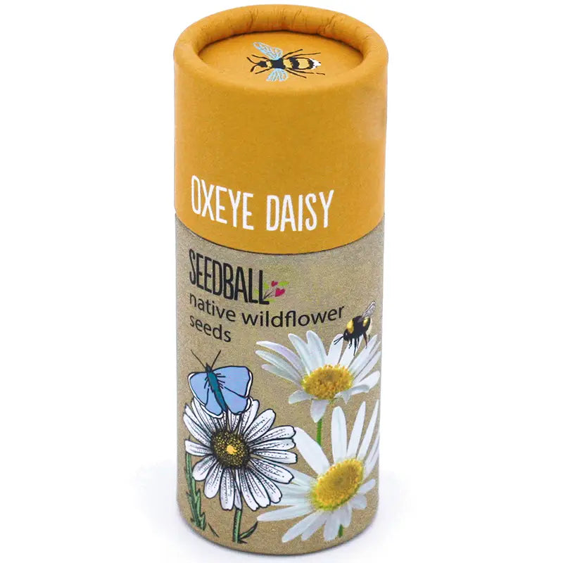 Wildflower Seedball tube - Poppy
