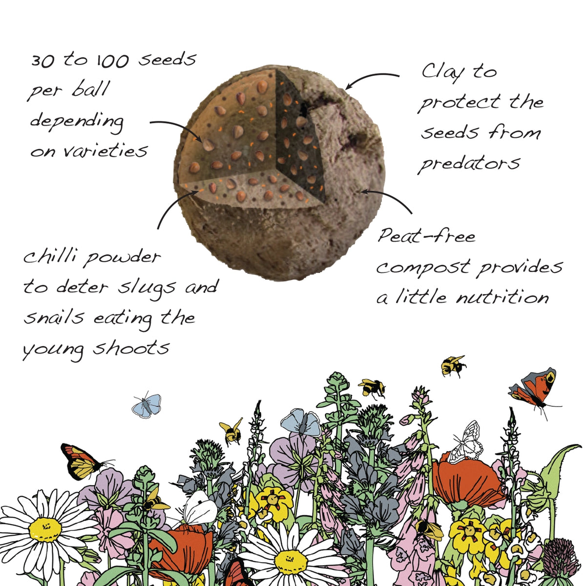 Wildflower Seedballs - In Memory Of