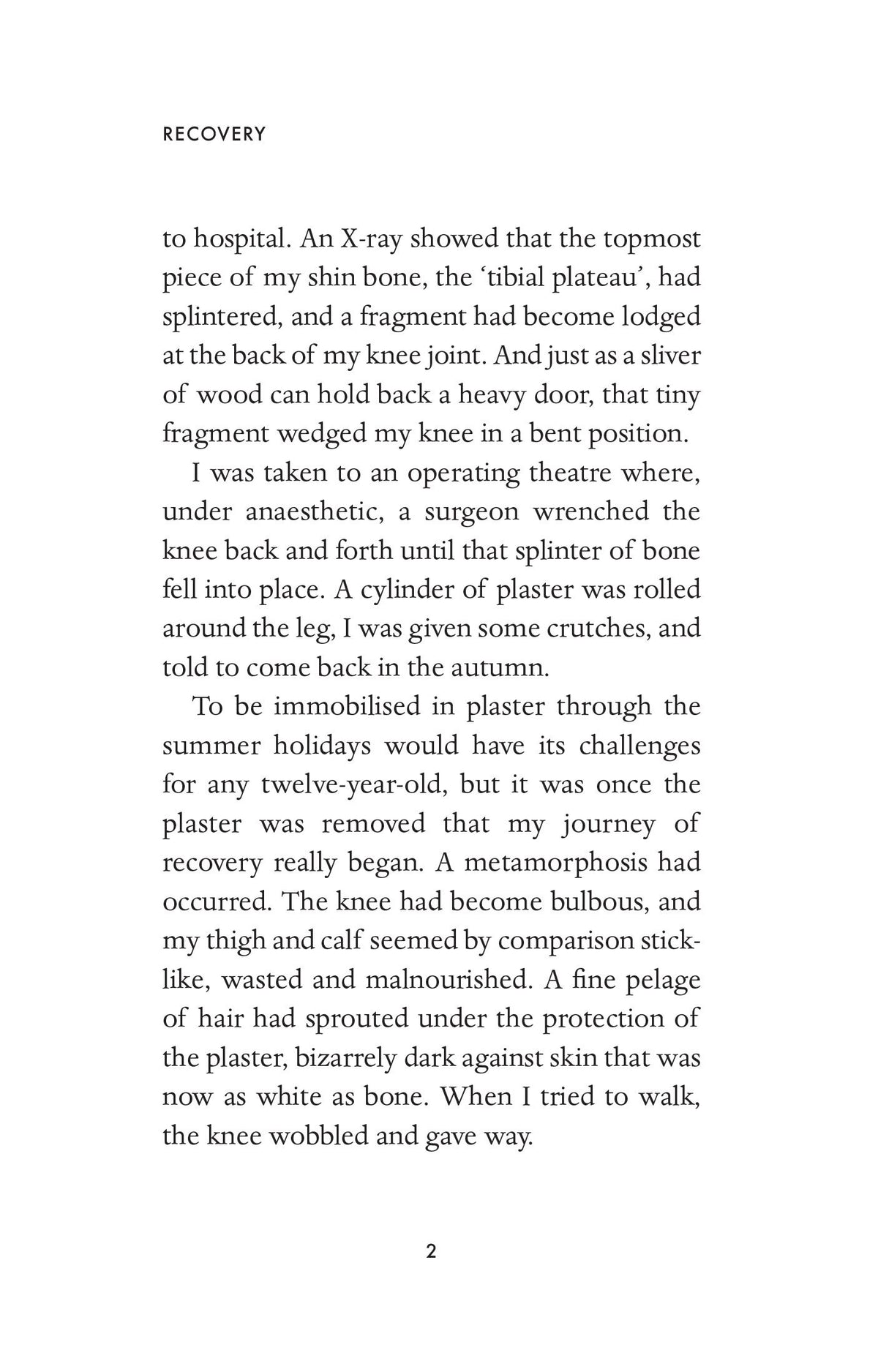 Book - Recovery: The Lost Art of Convalescence