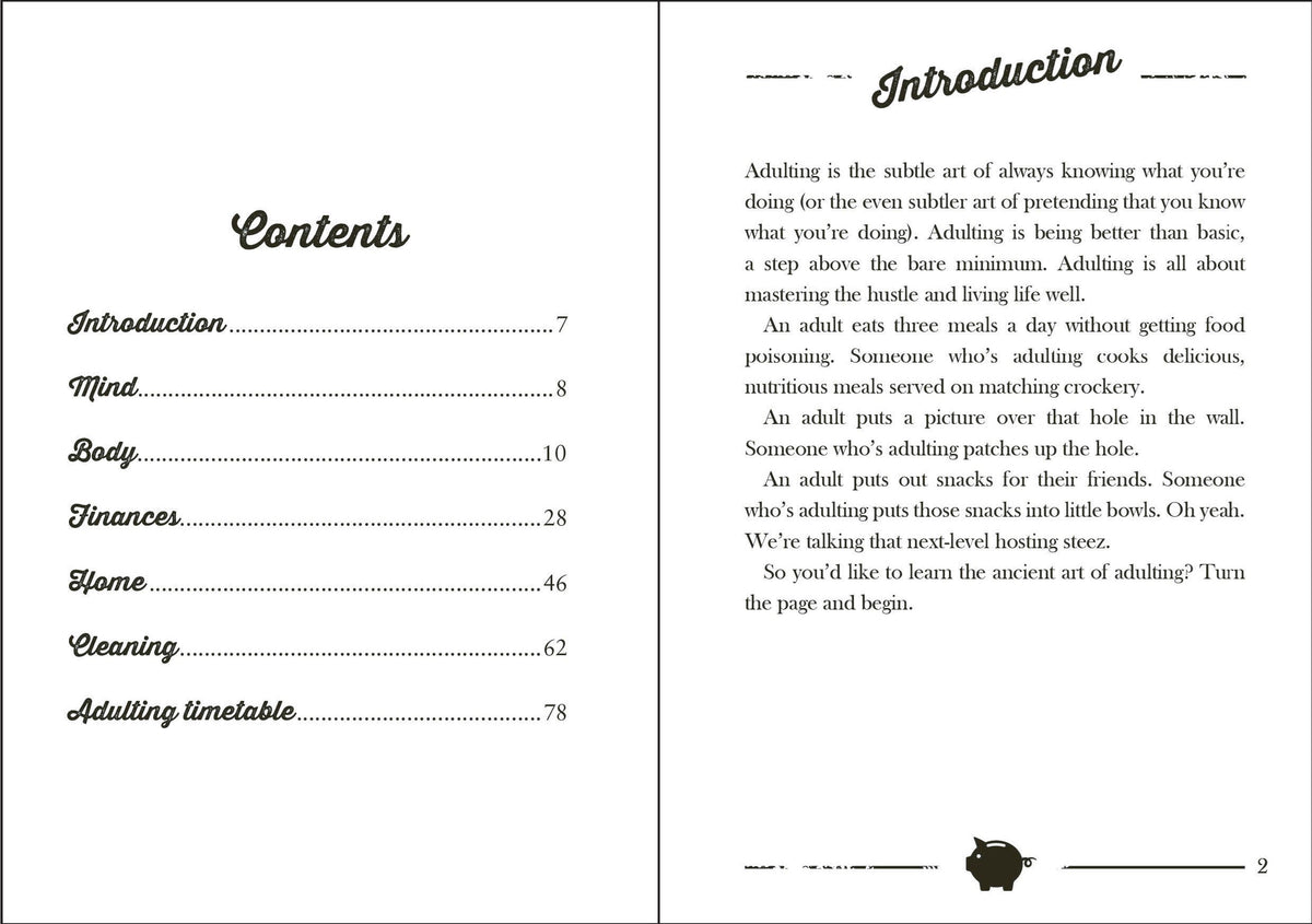 Book - Little Book of Adulting