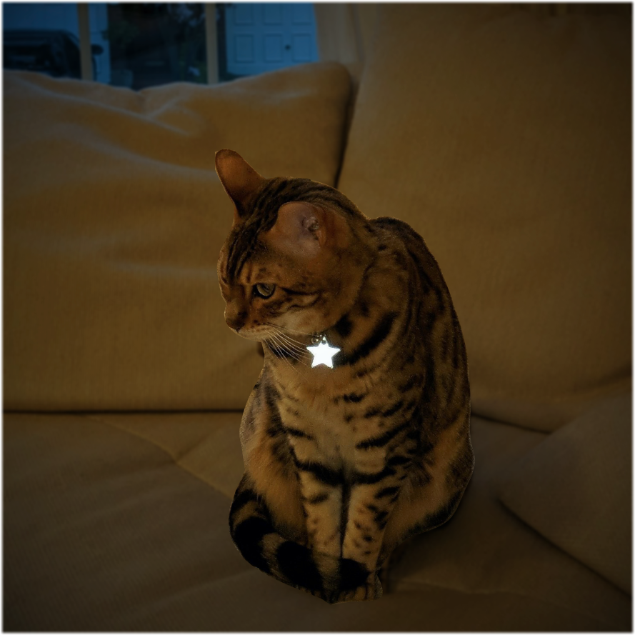 Cat Reflective Collar Charm - Ninja