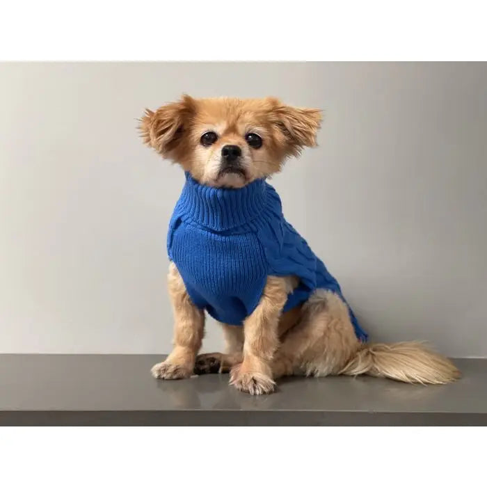 Dog Jumper - Blue