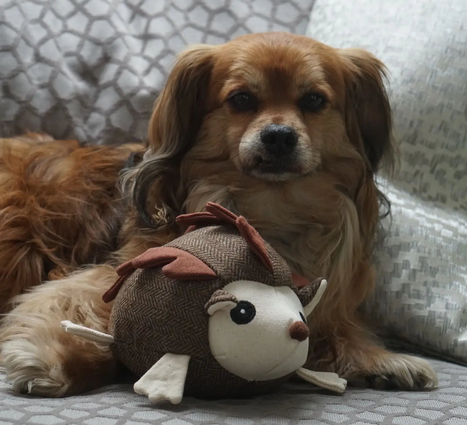 Stuffed hedgehog dog toy sales