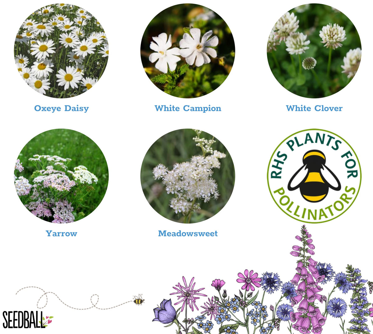 Seedball tin - Herb Mix