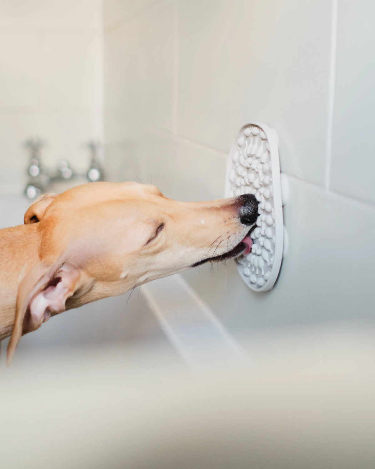 Lick Mat for Dog Bath Time
