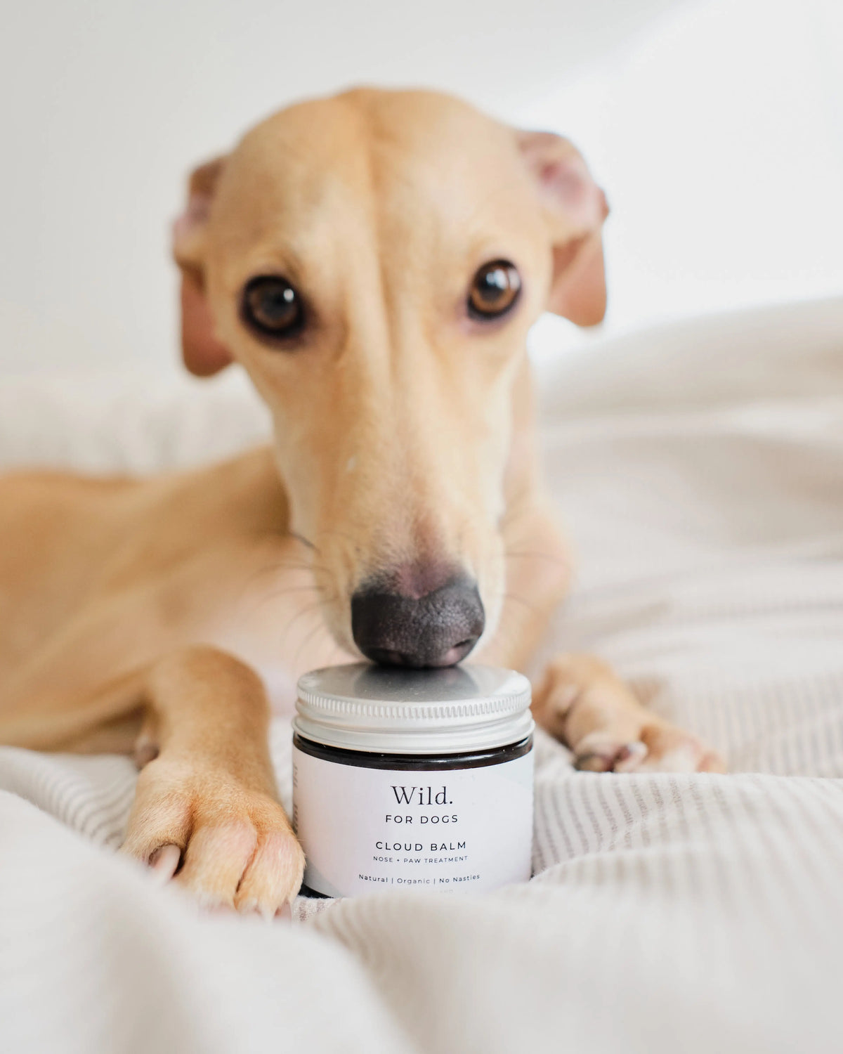 Paw &amp; Nose Balm for Dogs