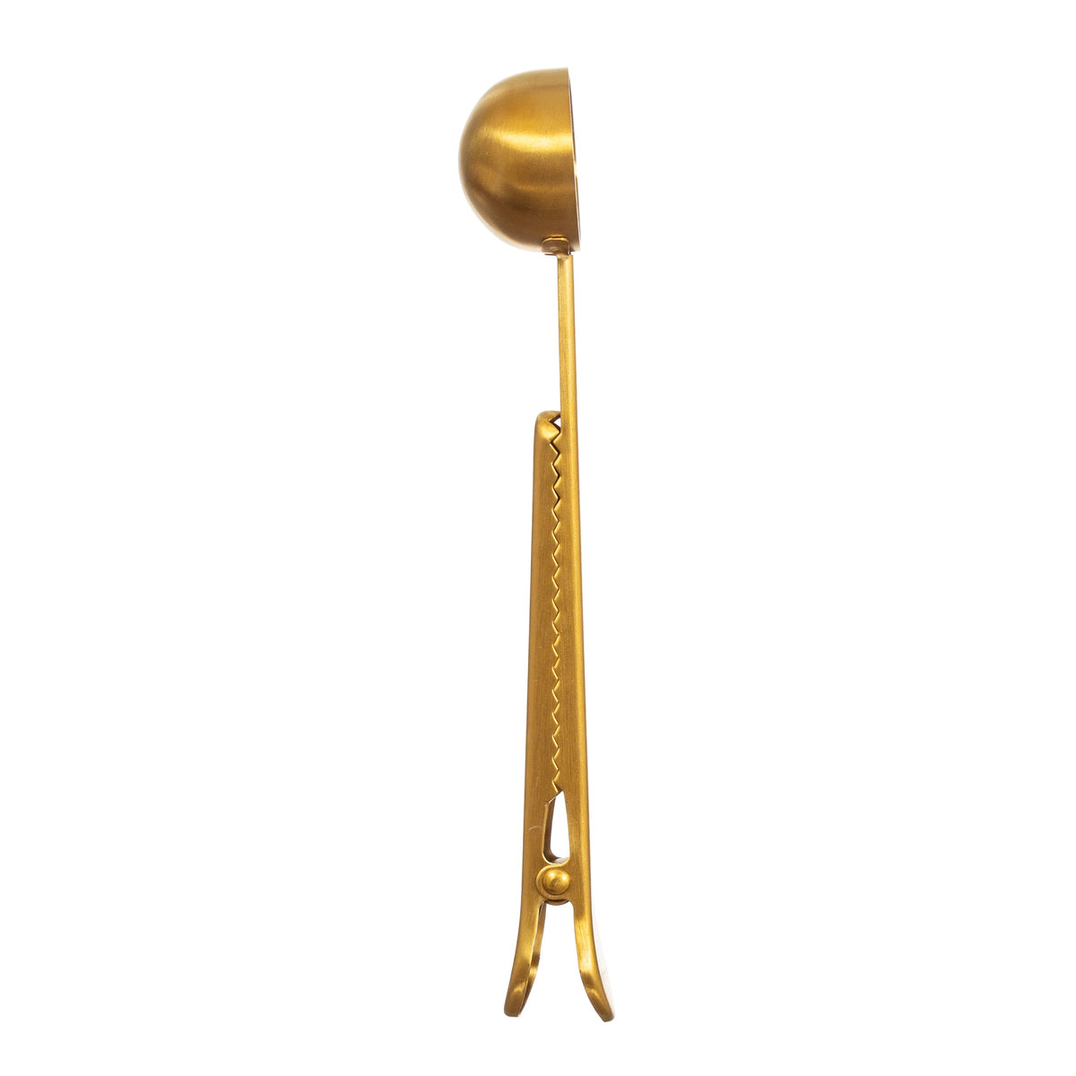 Coffee scoop clip